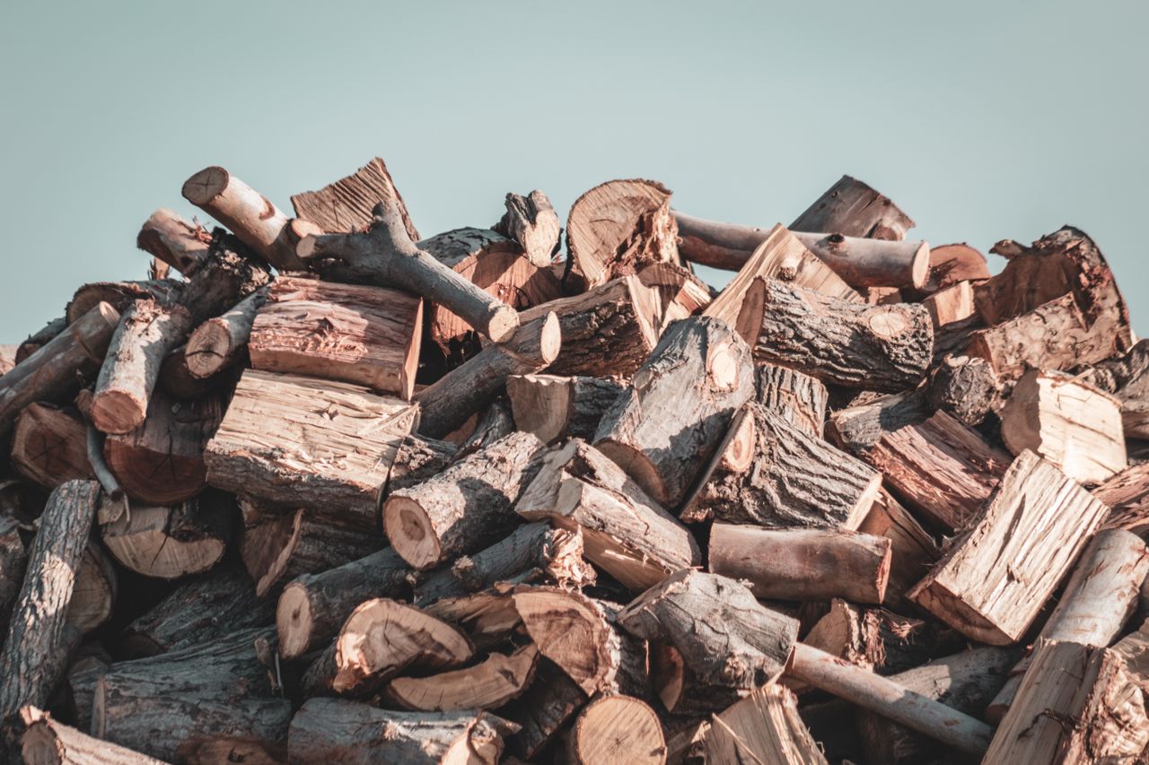 Quality firewood supply service with stacked wood